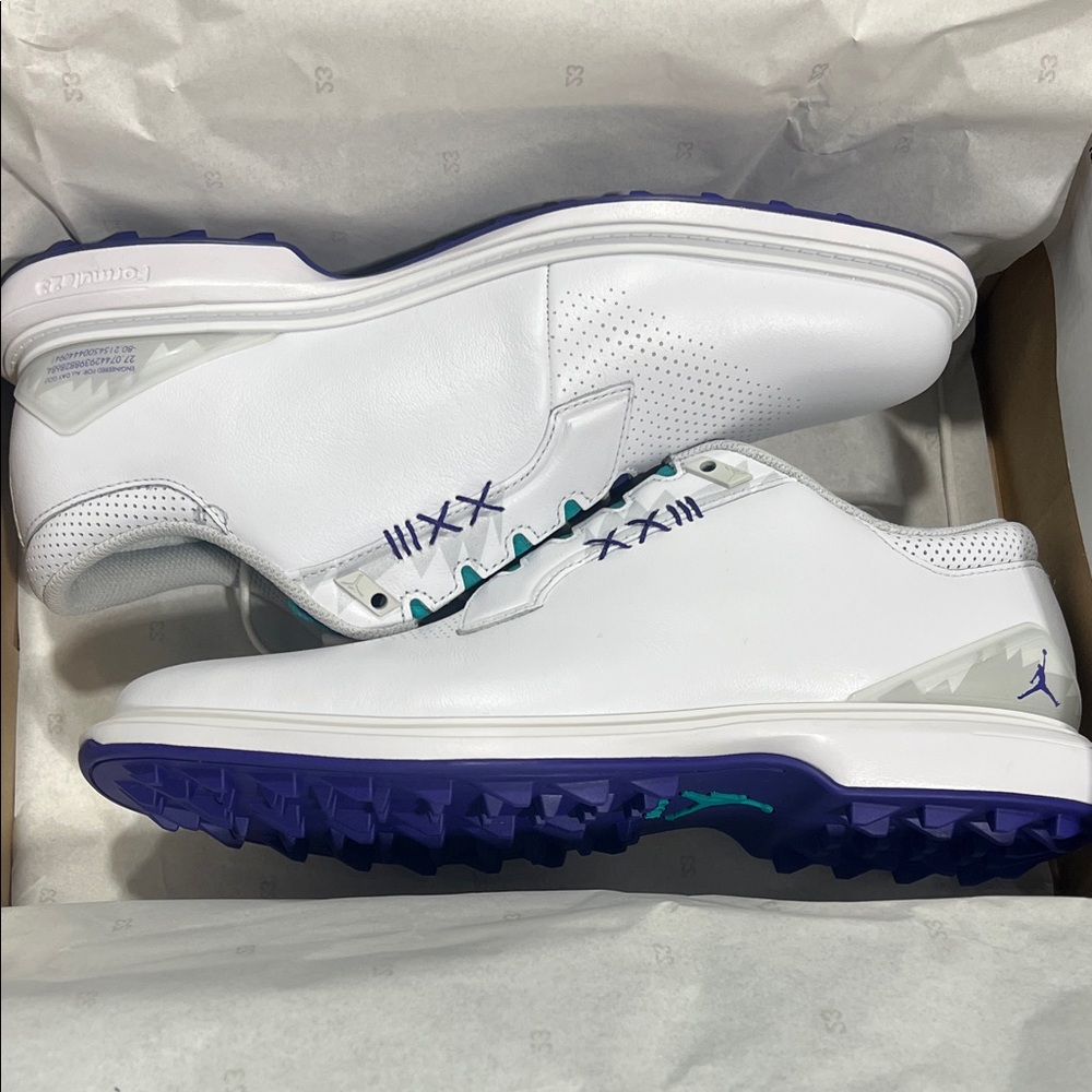 Jordan ADG 5 Shoes